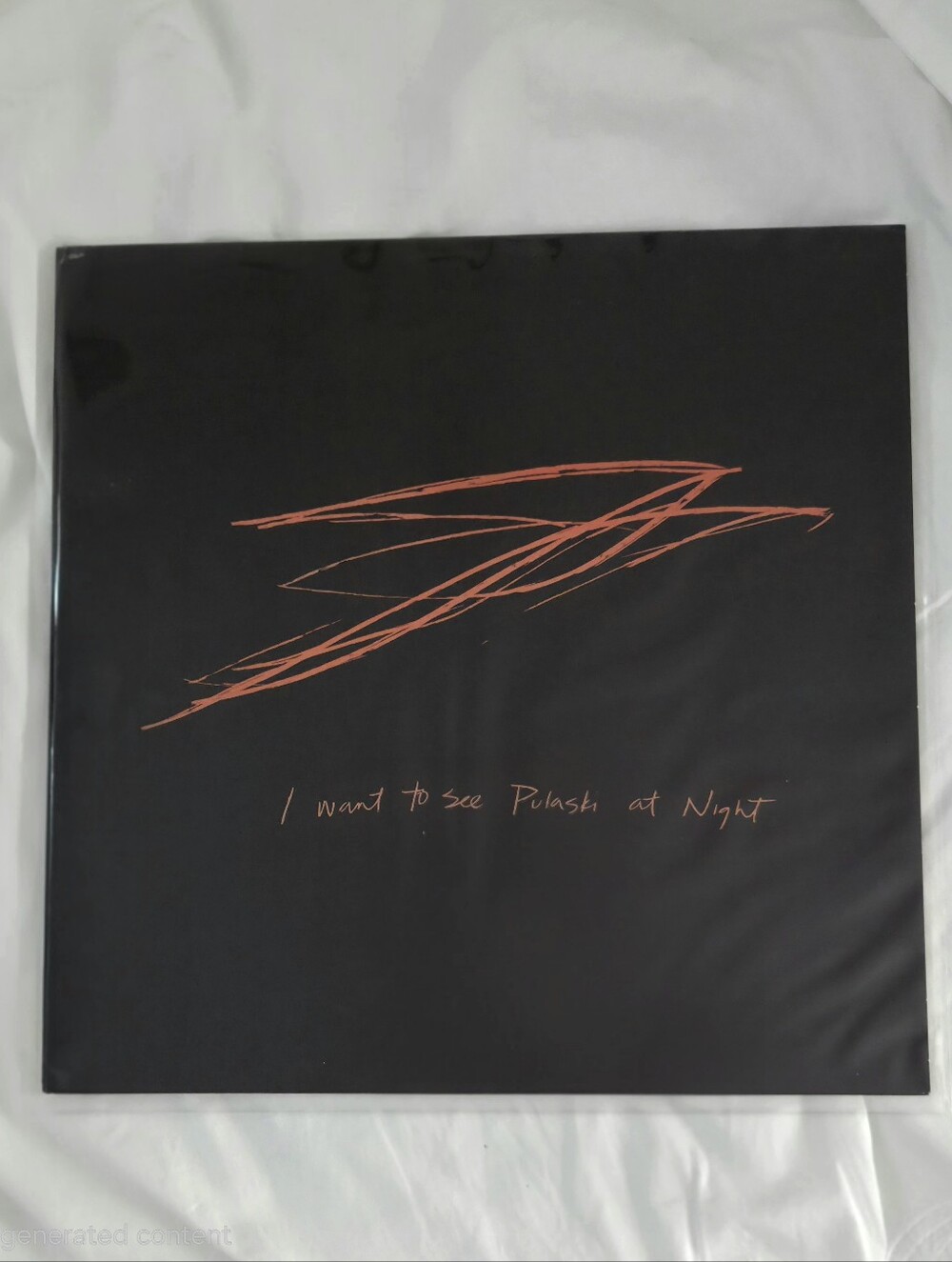 I Want to See Pulaski at Night - Andrew Bird Vinyl Record